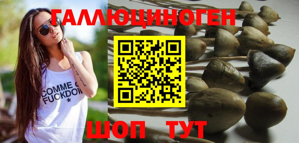 Галлюциногенные грибы мухоморы  продажа наркотиков  Галлюциногенные грибы прущие грибы  Урус-Мартан  Вход с VPN 
